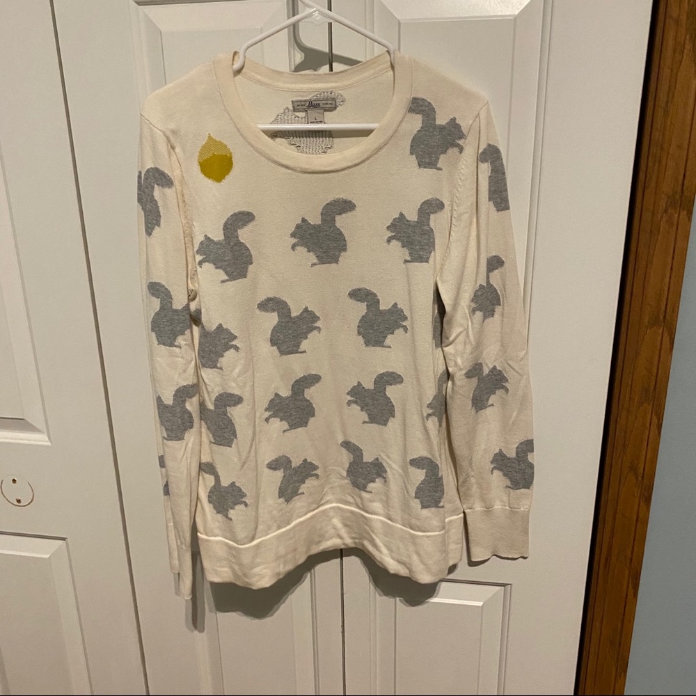 Squirrels sweater